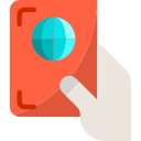 visa icon