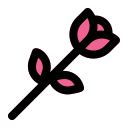 rosa icon