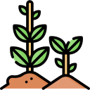 Растения icon