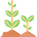 plantes icon