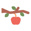 manzana icon