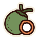 coco icon