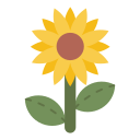 girasol icon