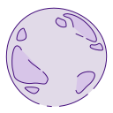 luna icon