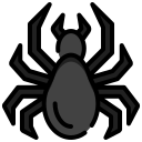 araña