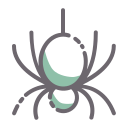 araña icon