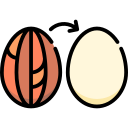 Blanched almond icon