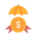 Insurance icon