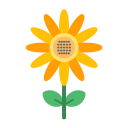 girasol icon