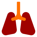 pulmones 