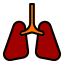 pulmones 