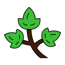 cilantro icon