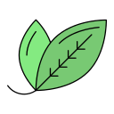 menta icon