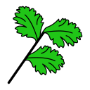 cilantro icon