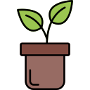 plantas icon