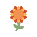 girasol icon