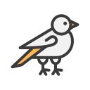 pájaro icon