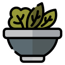 ensalada icon