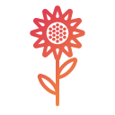 flor del sol icon