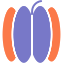 calabaza