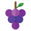 uvas icon