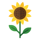 girasol icon