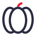 calabaza icon