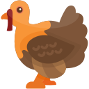 pavo icon