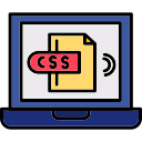 css 