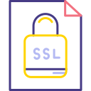 ssl icon