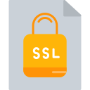 ssl icon