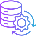 procesamiento de datos icon