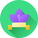 Lotus flower 