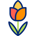 tulipán icon
