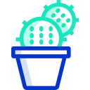 cactus icon