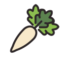 daikon 