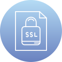 ssl icon