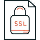 ssl icon