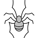 araña icon