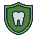 seguro dental icon