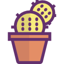 cactus icon