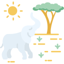 safari