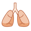 pulmones