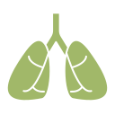 pulmones