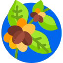 planta icon