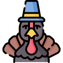 pavo icon