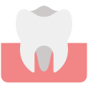 molar icon