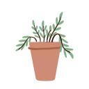 plantas icon