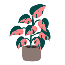 plantas icon