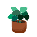 plantas icon